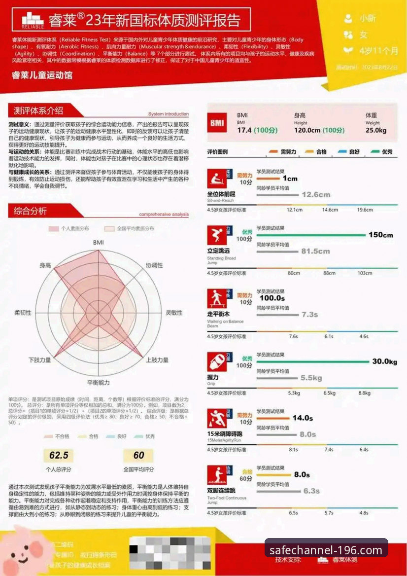 196体育平台全方位深度评测：体育官网正版入口安全性与使用体验分析